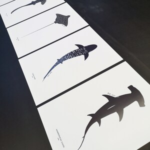 Ocean Art Print Set, Shark Wall Art, Hammerhead Shark, Whale Shark ...