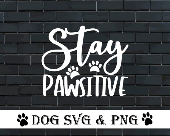 Download Stay Pawsitive Svg Dog Svg Dog Quote Svg Dog Paw Svg Puppy Etsy