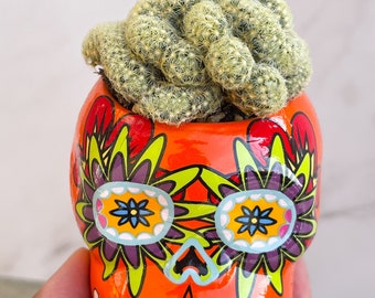 Halloween Planter | Skull Planter | Succulent/Cactus Planter