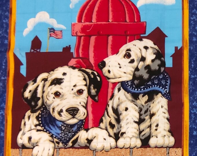 Claire & Charlie Boys Blue Striped Shirt - Fire House Dalmation Dog