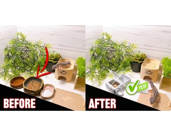 Reptile Noodles Worm dish