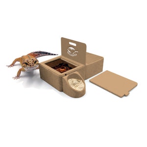 3.0 Geckopia Triple Dish | Leopard Gecko Dish | Reptile Dish | Gecko dish | Gecko Water Dish | Gecko Calcium Dish