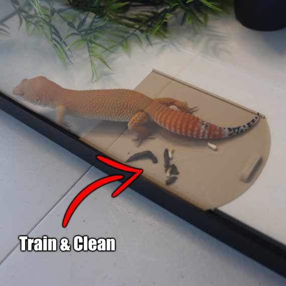 Geckopia Potty Pad Leopard Gecko Pad Reptile Hide Floor Etsy