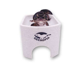 Geckopia Hide | Leopard Gecko Hide | Reptile Hide | Gecko Place | Gecko Hide