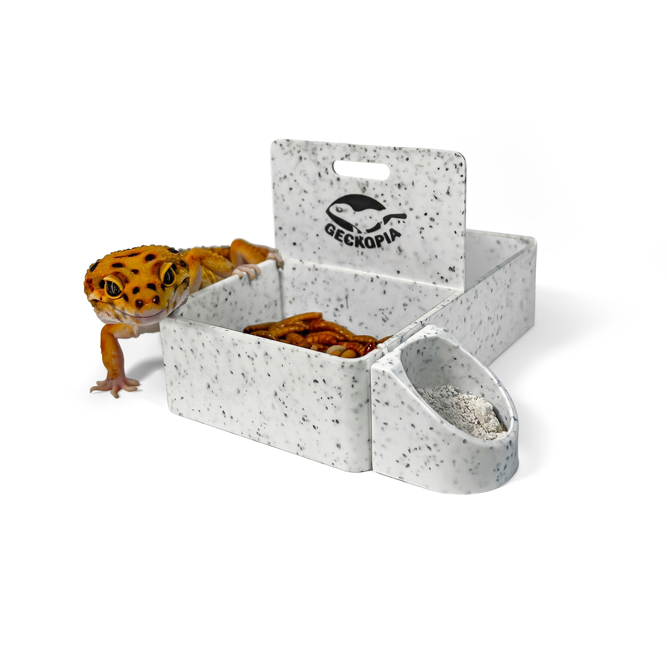 3.0 Geckopia Triple Dish Leopard Gecko Dish Reptile Dish Etsy UK