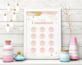 12 Week Weight Loss Tracker Chart Countdown Motivational Printable Wall or Planner Slimming Instant Download (A4/A5/US Letter/Half Letter)