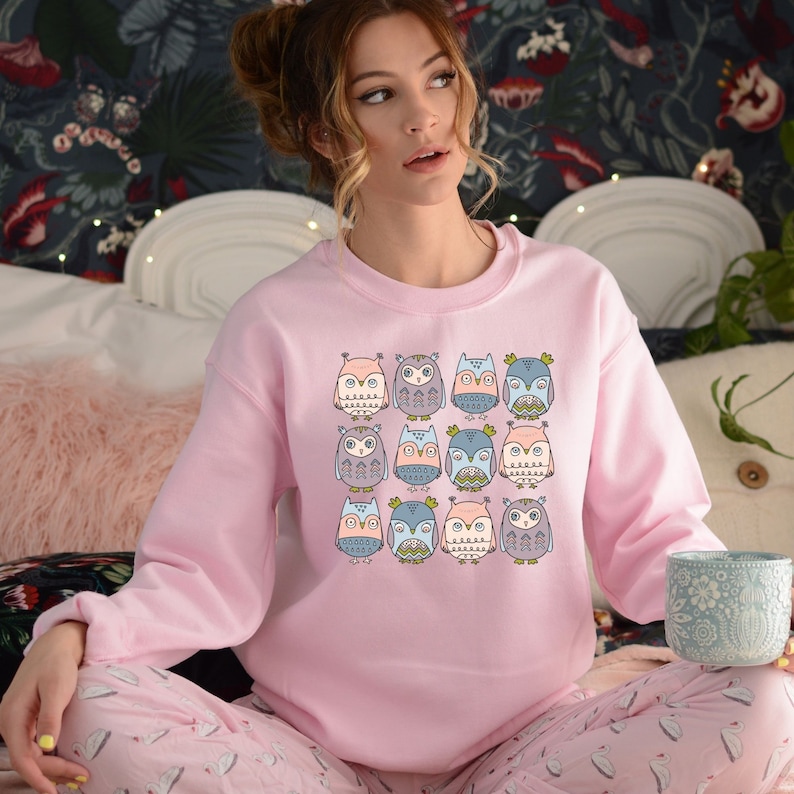 May include: A pink sweatshirt with a pattern of 12 owls in various colors and designs. The owls are arranged in a grid pattern on the front of the sweatshirt.
