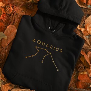 May include: Black hoodie with a gold constellation design and the text "AQUARIUS" on the front.