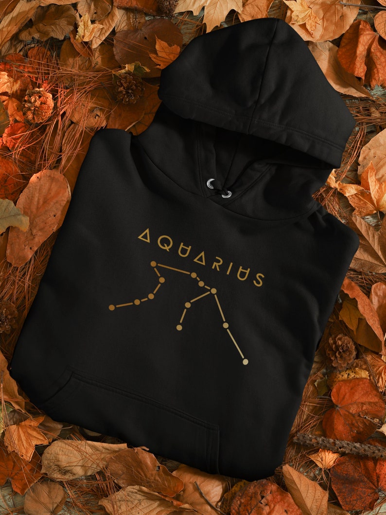 May include: Black hoodie with a gold constellation design and the text "AQUARIUS" on the front.