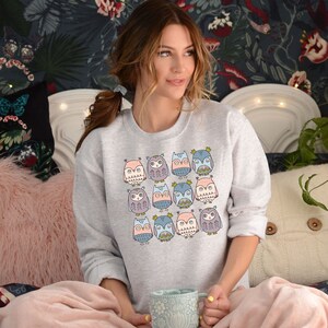 May include: A gray sweatshirt with a pattern of colorful owls. The owls are in various shades of blue, pink, and green. The sweatshirt has a crew neck and long sleeves.