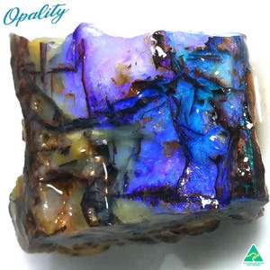 Può includere: Una vibrante pietra di opale grezza con un mix di colori, tra cui blu, viola e marrone. La pietra ha una consistenza naturale ruvida e mostra un gioco di luce. La parola "Opality" è scritta in corsivo turchese in alto a sinistra.