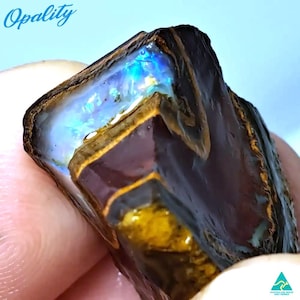 43ct Yowah Opal Rough Yowah Nut Segment