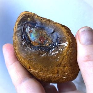 Yowah Nut Opal Rough 190g