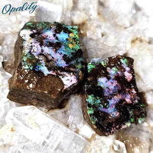 Könnte beinhalten: Zwei rohe, dunkelbraune, irisierende Opal-Steine mit grünen, blauen und violetten Farbschimmern. Die Steine liegen auf einem Bett aus weißen Quarzkristallen.