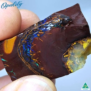 73ct Yowah Nut Opal Rough
