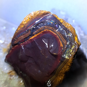 Yowah Nut Opal Rough 310g