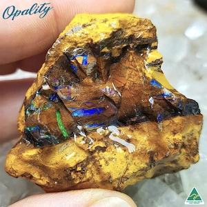 May include: A rough, yellow-brown rock with blue and green opal inclusions. The opal is iridescent and shows flashes of colour. The rock is labelled "Opality" and has a "Made in Australia" logo.