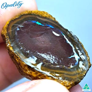 62ct Yowah Nut Opal Rough