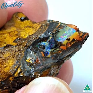 78ct Yowah Nut Opal Rough