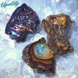 Puede incluir: Tres piedras de ópalo en bruto con colores iridiscentes. Las piedras son marrones, negras y blancas con destellos de azul, verde y rojo.