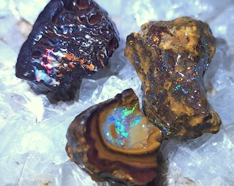 May include: Three rough opal stones with iridescent colors. The stones are brown, black, and white with flashes of blue, green, and red.