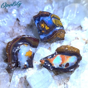 Può includere: Tre pezzi grezzi di opale con colori iridescenti. L'opale è incastonato in una matrice marrone scuro. L'opale è una pietra preziosa naturale.