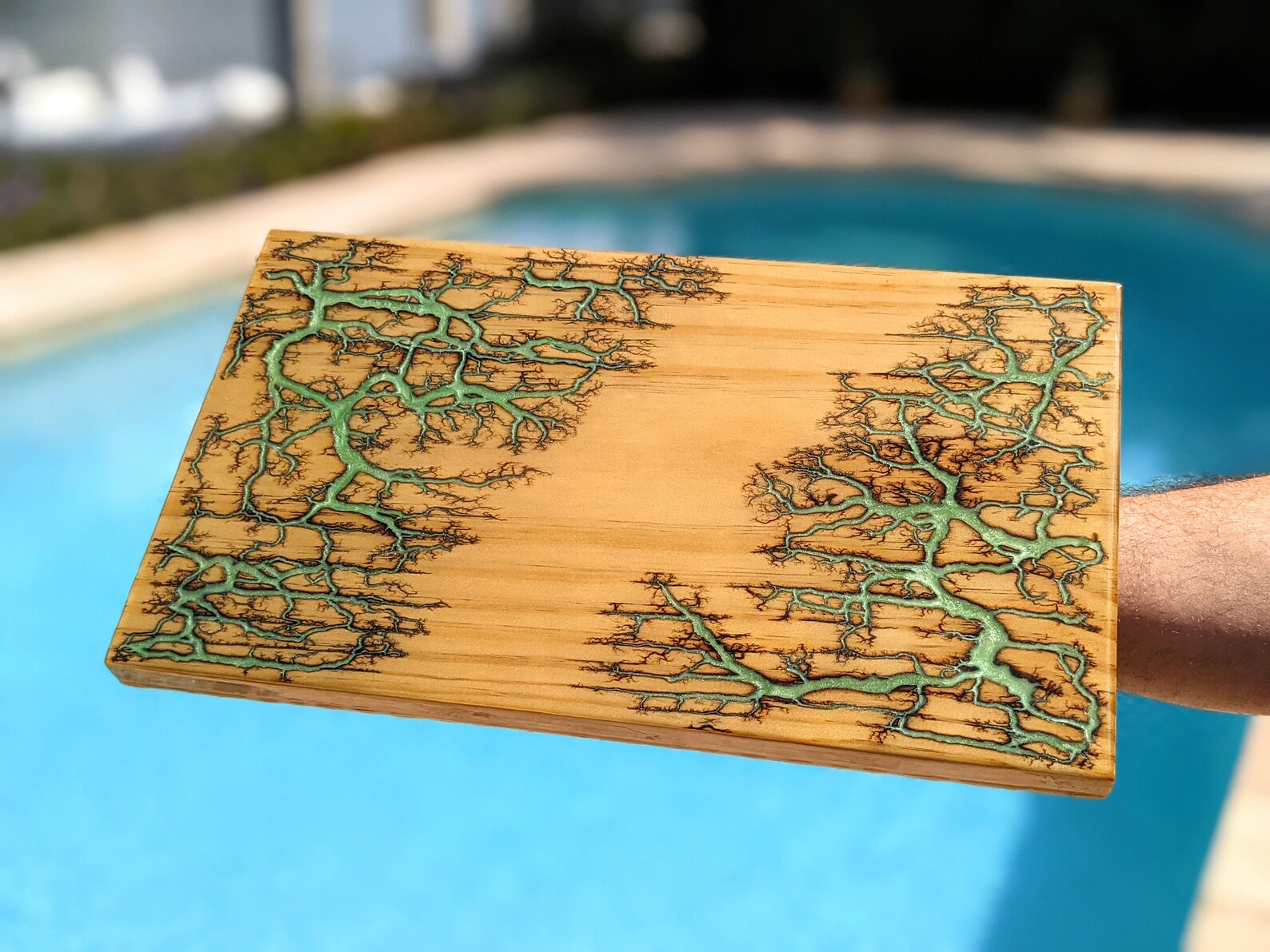 CUSTOM Burned M Sushi Board Feat. Seafoam Grüne Äste | Etsy