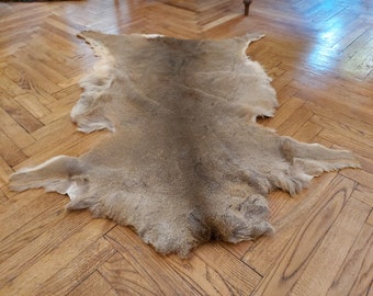 Hair On Hide Chair Etsy