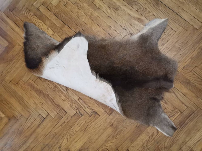 Red Deer Skin Hide cervus Elaphus Stag Fur Pelt Rug Etsy