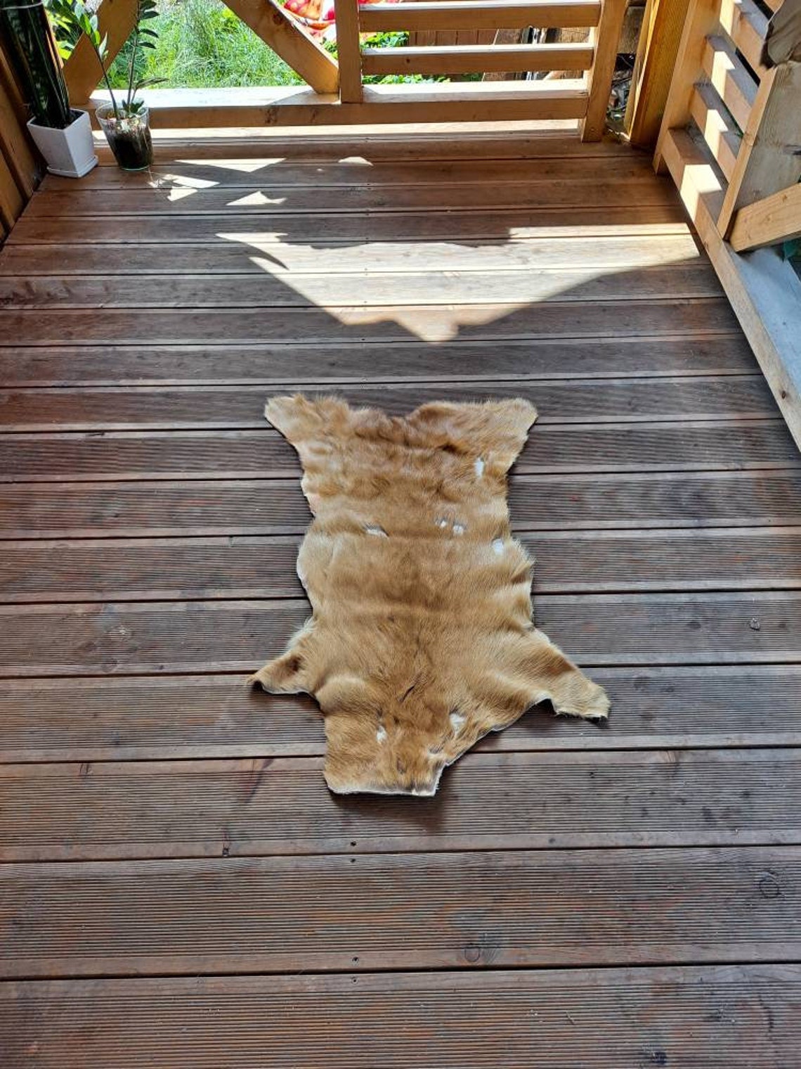 Roe Deer Skin Hide Rug Summer Coat Fur Floor Home Decor Pets Etsy UK