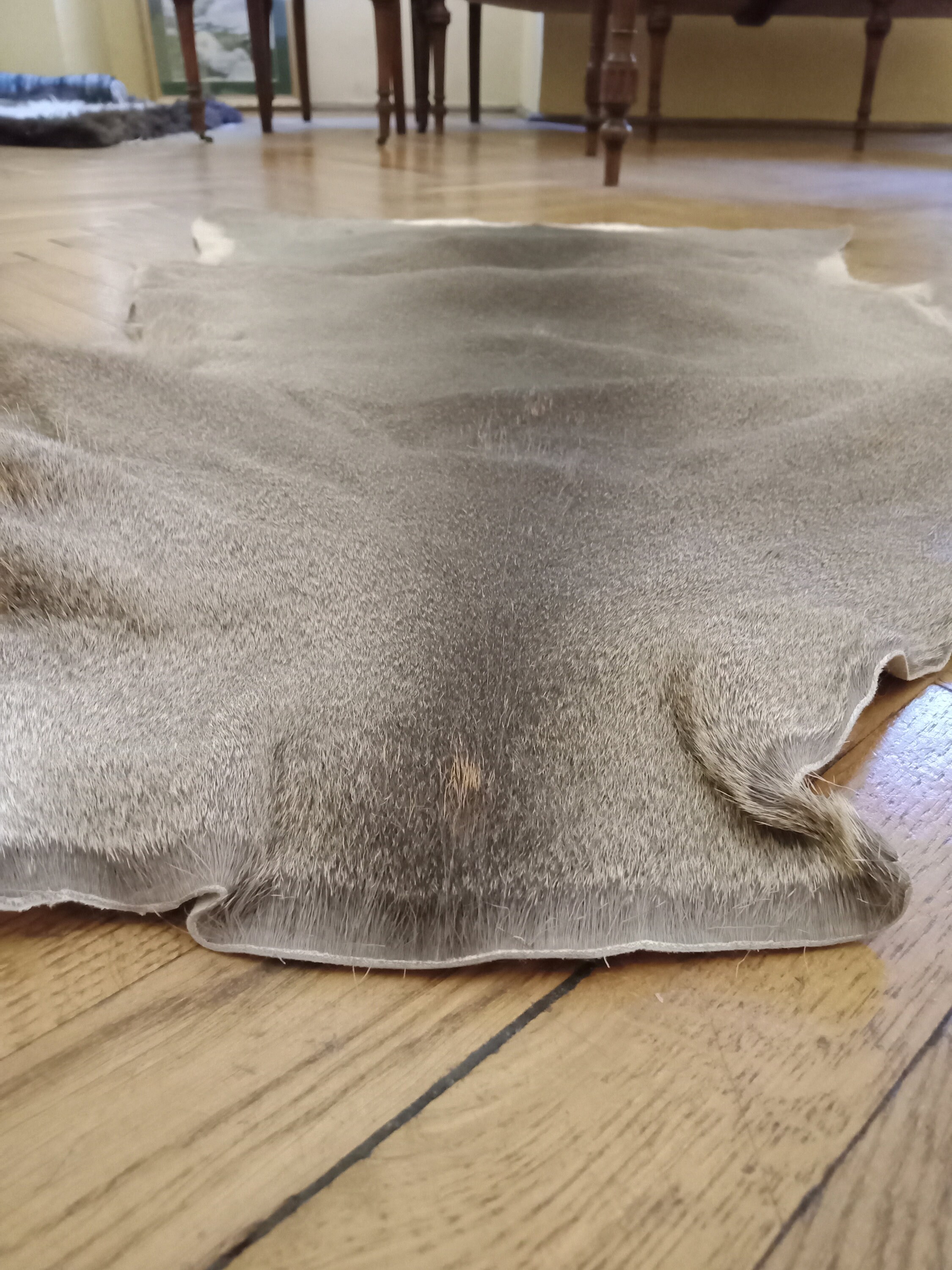 Large Roe Buck Deerskin Hide Area Rug Luxury Living Room Etsy