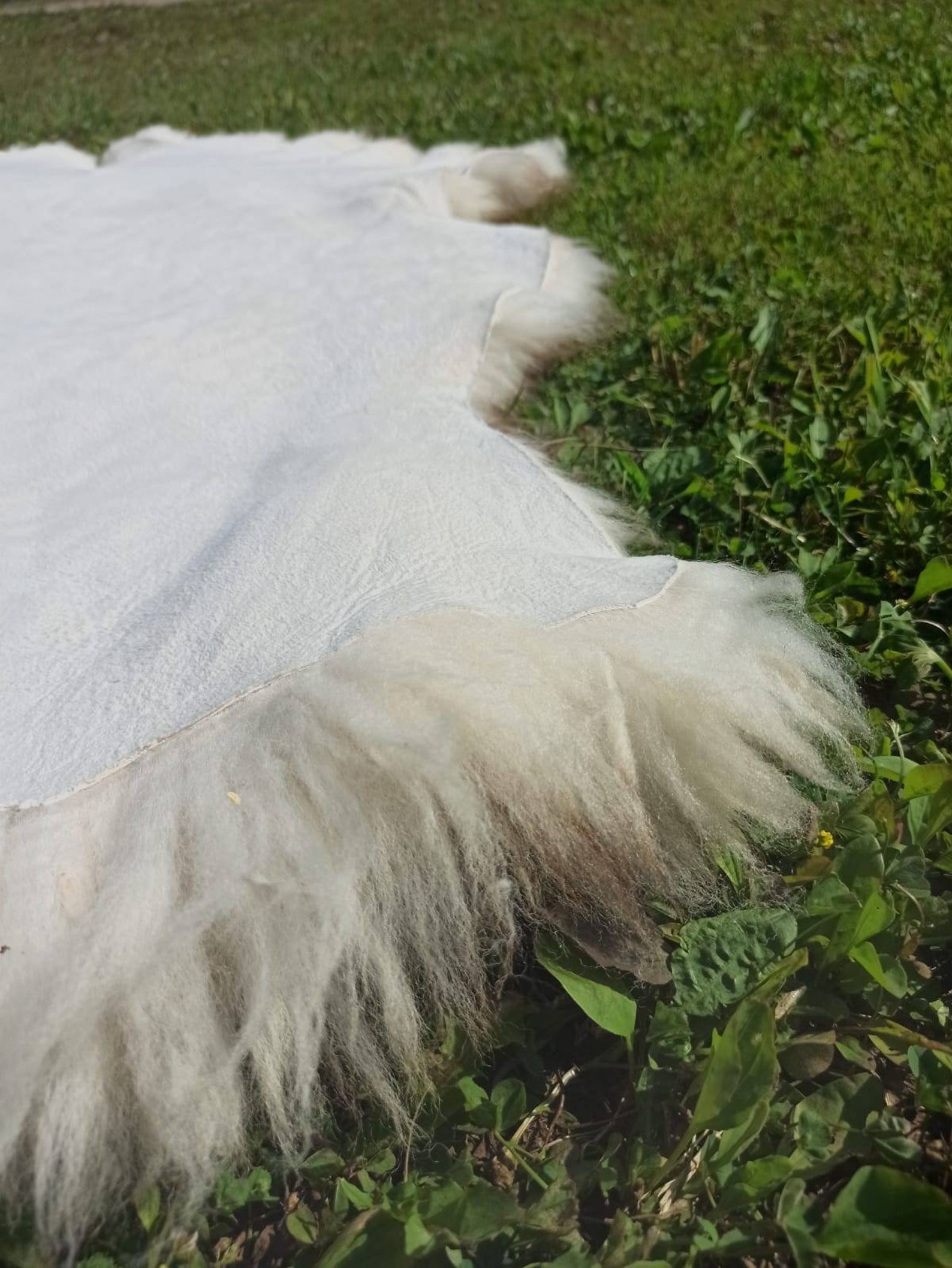 Quality sheepskin rug pelt hide fur. Lamb wool soft fluffy Etsy