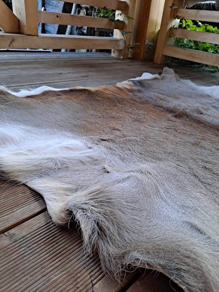 Large Giant Red Deer Skin Hide cervus Elaphus Stag Fur Pelt Rug Taxidermy  Home Floor Decor Design Carpet or Wall Hanging 