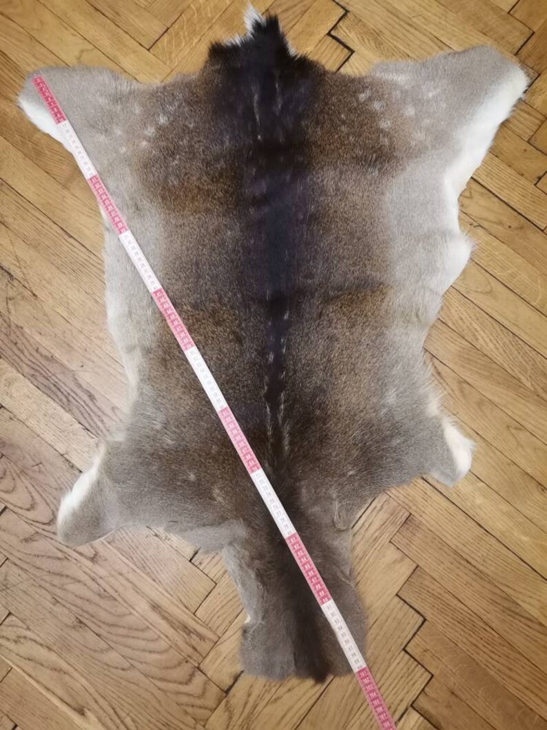 Fallow deerskin hide area rug fur home decor living room | Etsy