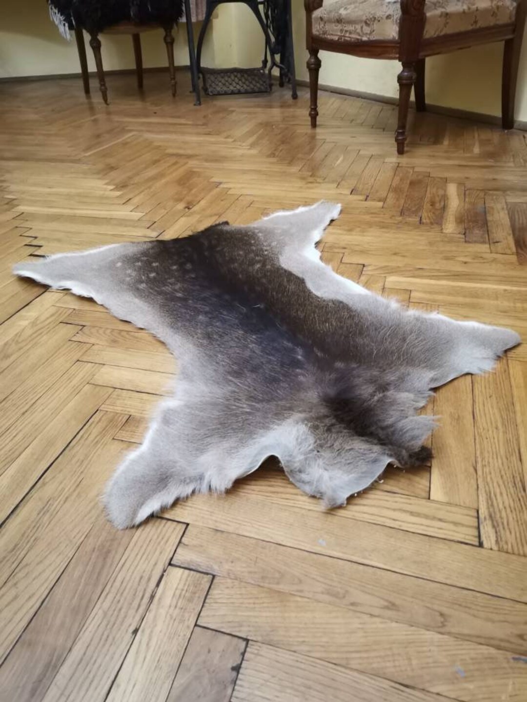 Fallow Deer Skin Hide Area Rug Fur dama Dama Living Room