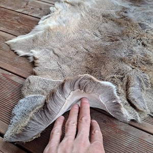 Hair On Deerskin Hide Rug - Tanned Deer Hide with Hair - Grade A - Grade B  - Grade C - Large - Extra Large
