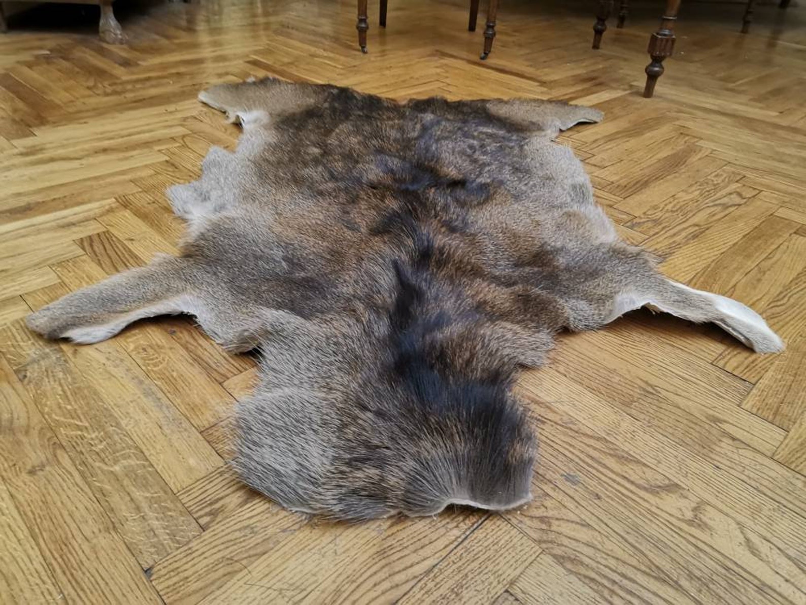 Red Deer Skin Hide Rug Winter Coat Fur Floor Home Decor Pets Etsy