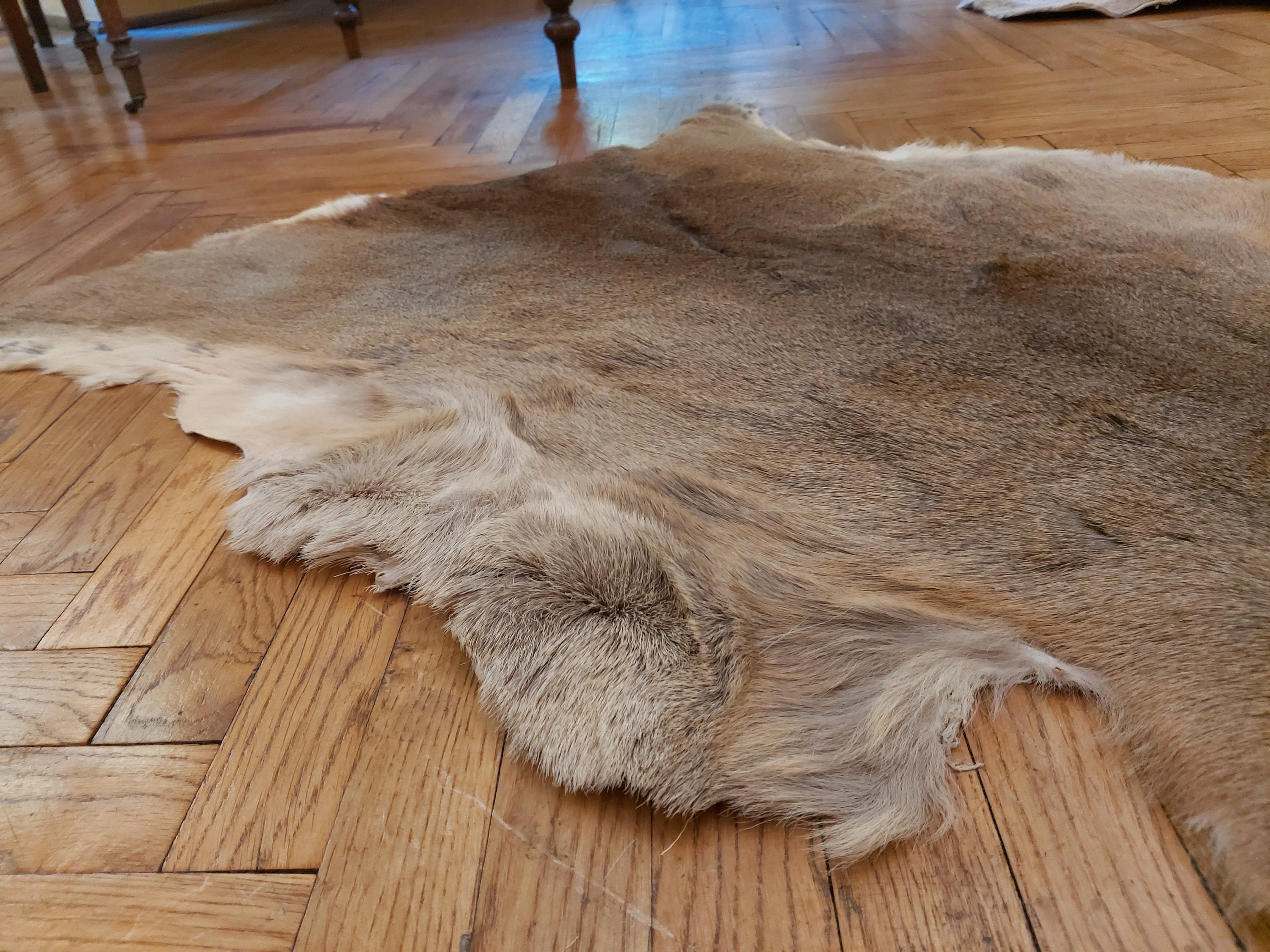Set of 3 large roe deer skin hide area rug luxury living room Etsy