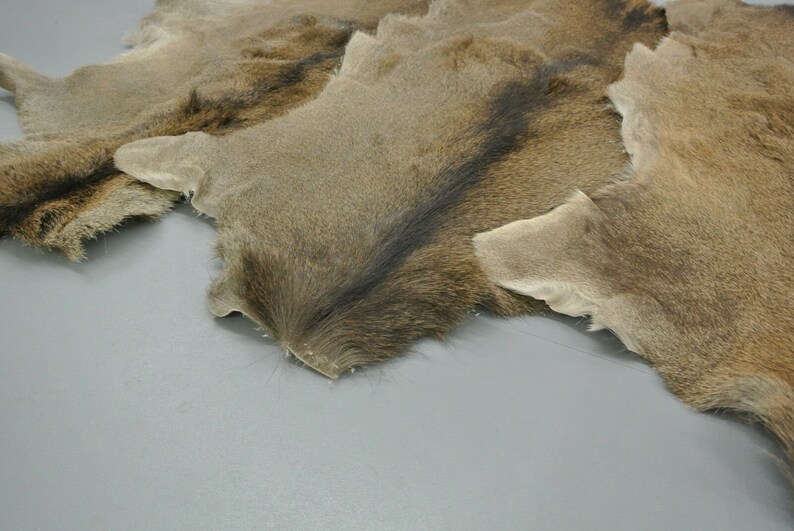 Set of 3 Red Deer Skin Hide cervus Elaphus Stag Fur Pelt Rug Etsy