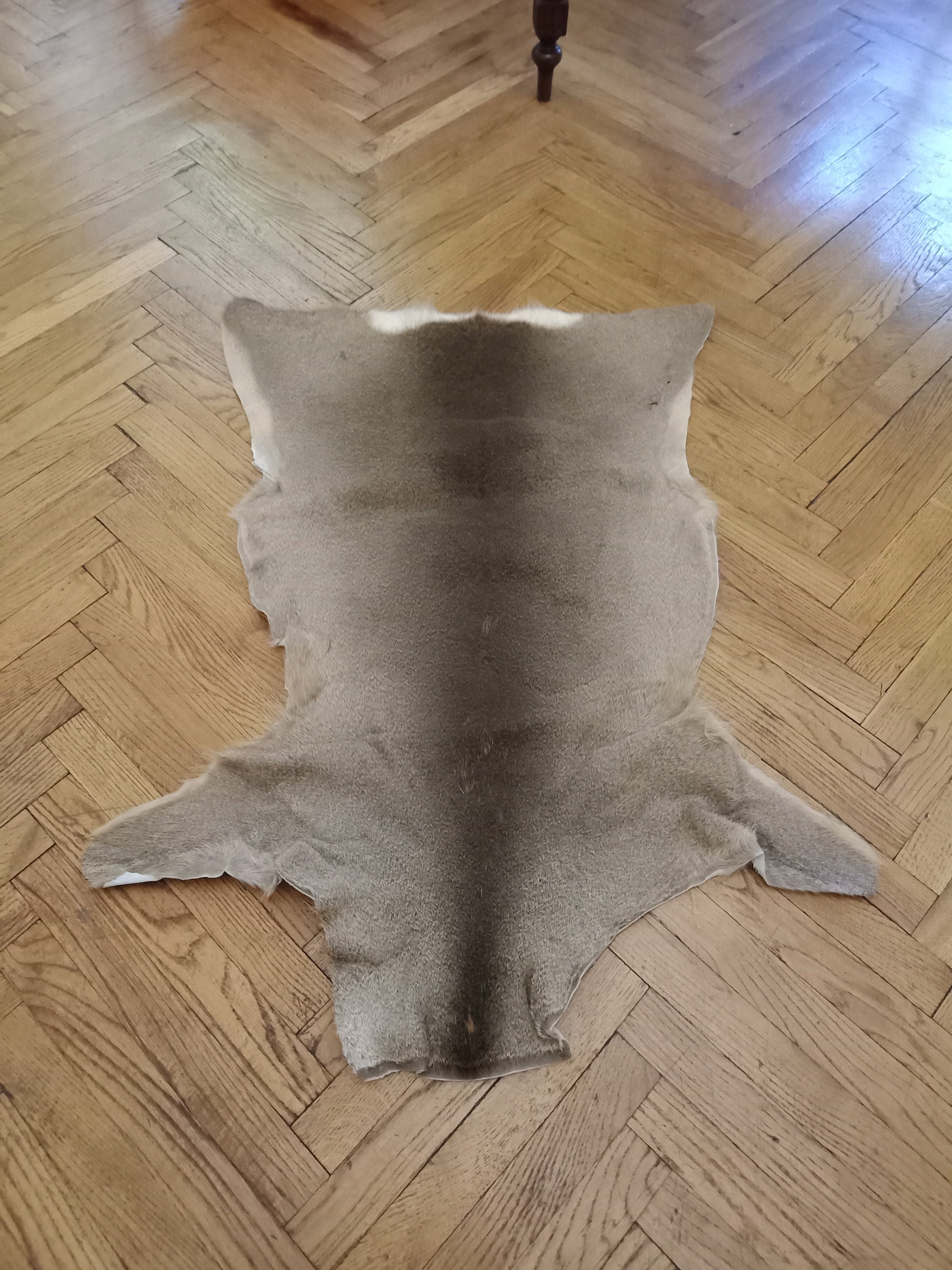 Large Roe Buck Deerskin Hide Area Rug Luxury Living Room Etsy Canada