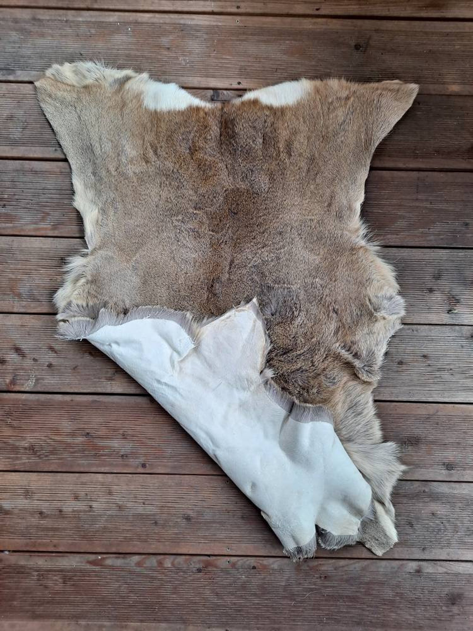 Roe deer skin hide rug winter long hair silverish coat fur Etsy