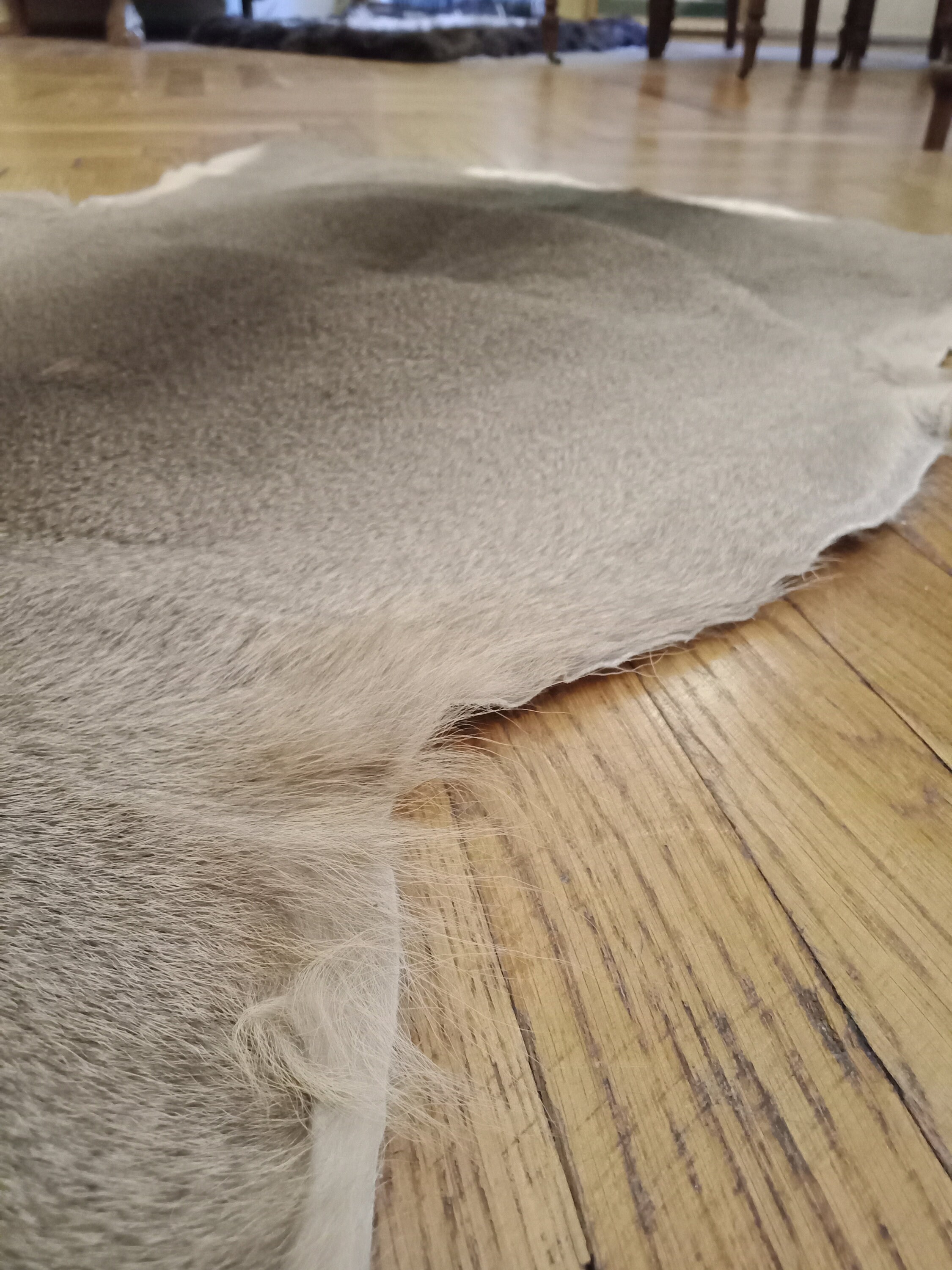 Large Roe Buck Deerskin Hide Area Rug Luxury Living Room Etsy