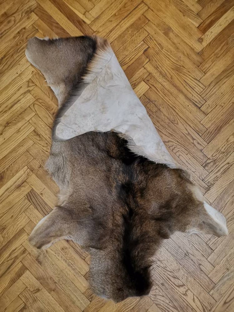 Red Deer Skin Hide Rug Winter Coat Fur Floor Home Decor Pets Etsy