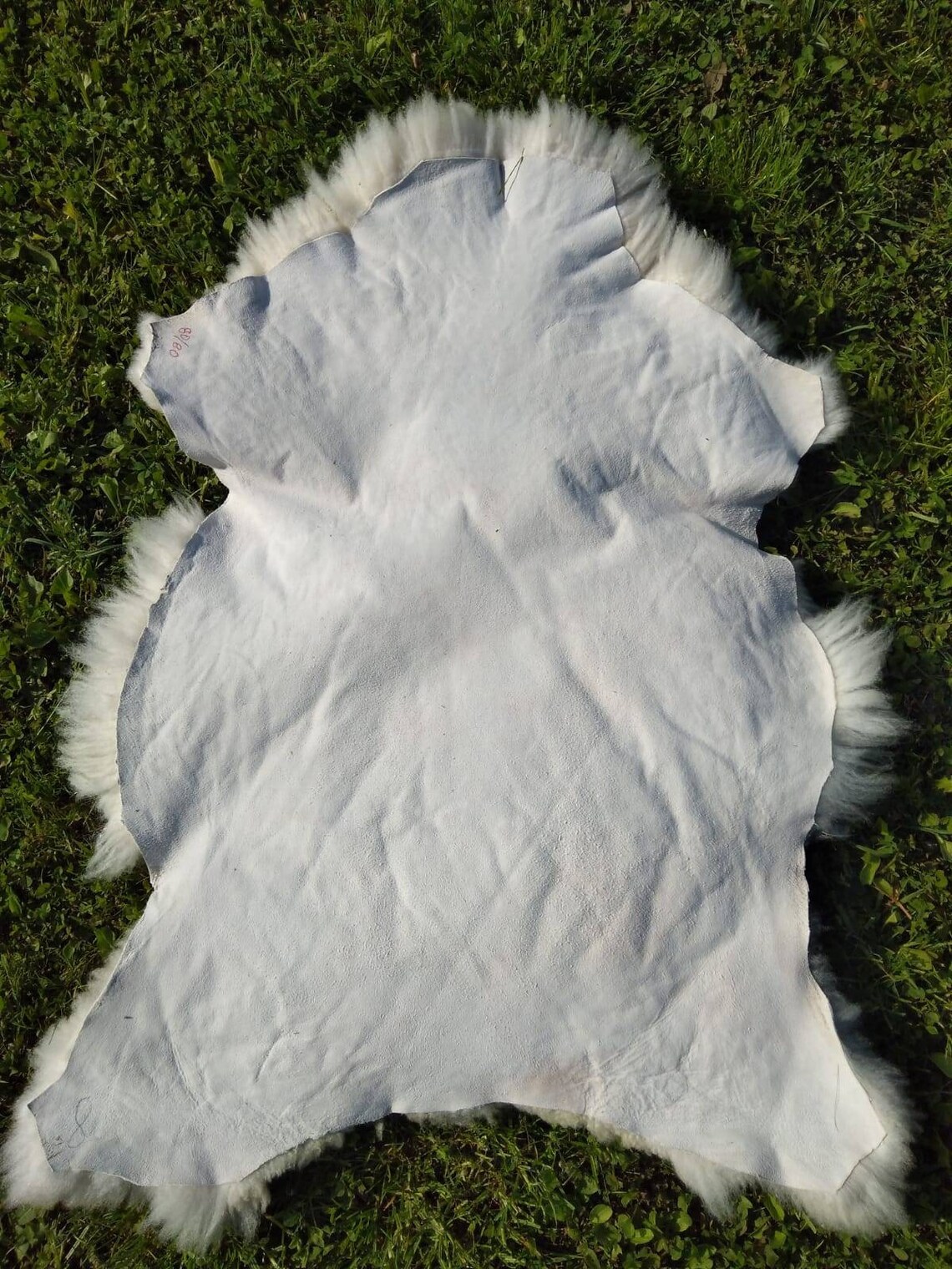 Piel de oveja alfombra ocultar piel de lana Pelt taxidermy Etsy