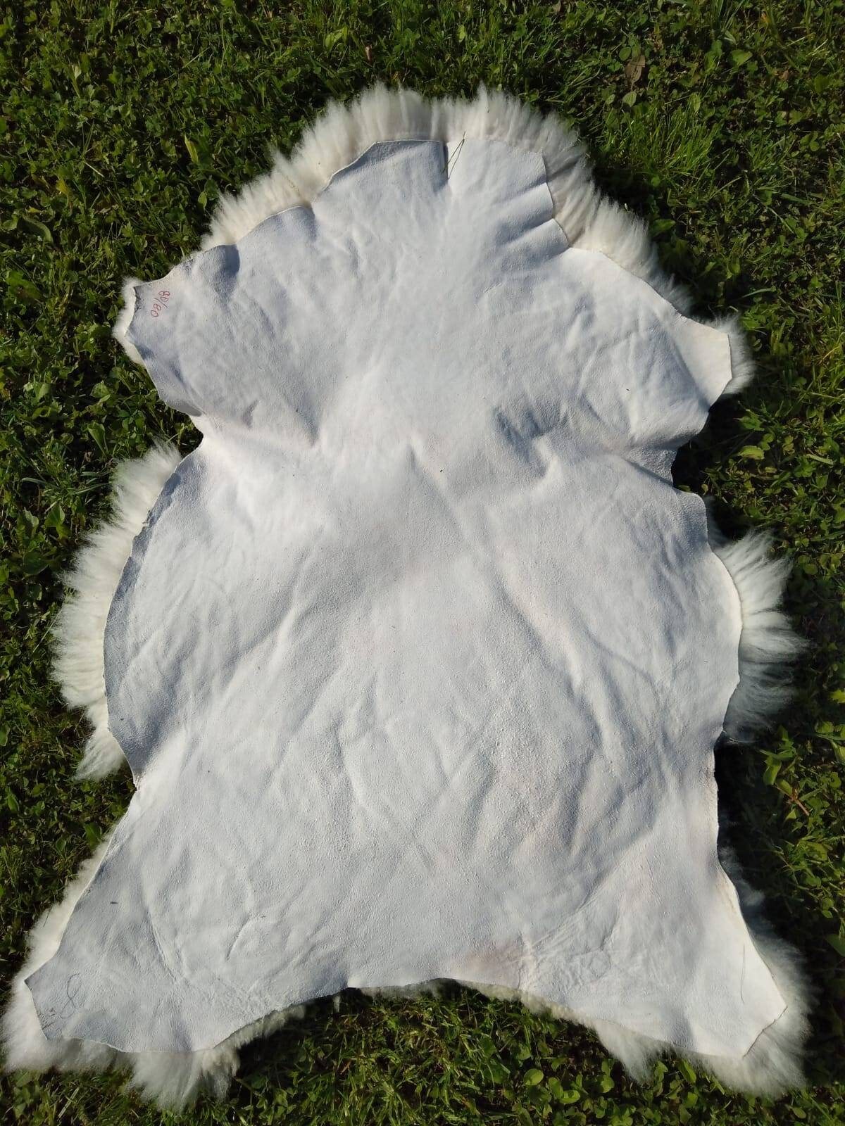 Piel de oveja alfombra ocultar piel de lana Pelt taxidermy | Etsy