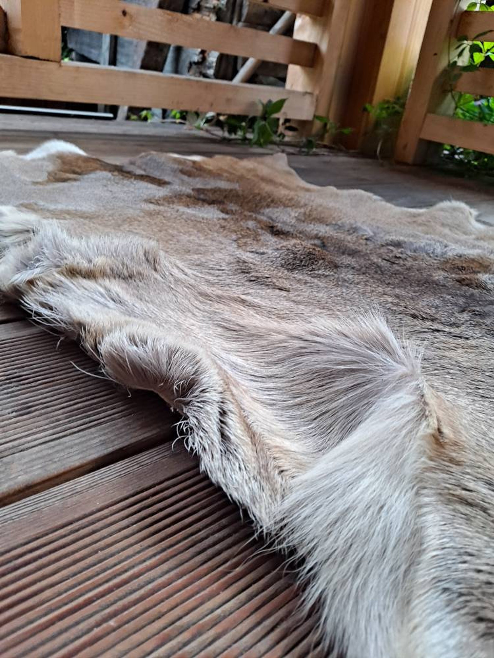 Roe deer skin hide rug winter long hair silverish coat fur Etsy