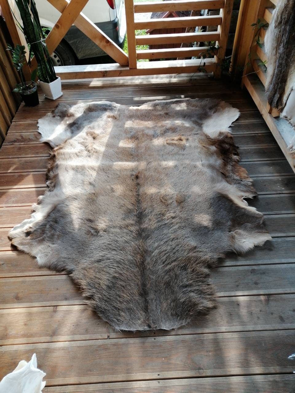 Large Giant Red Deer Skin Hide cervus Elaphus Stag Fur Pelt Rug Taxidermy  Home Floor Decor Design Carpet or Wall Hanging -  Israel
