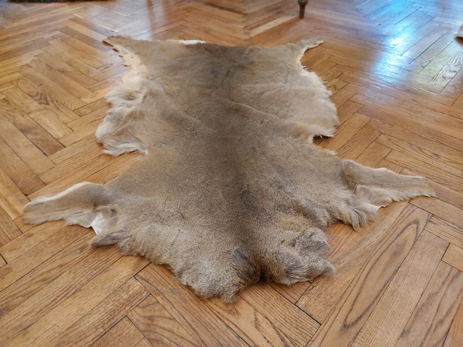 Set of 3 large roe deer skin hide area rug luxury living room Etsy
