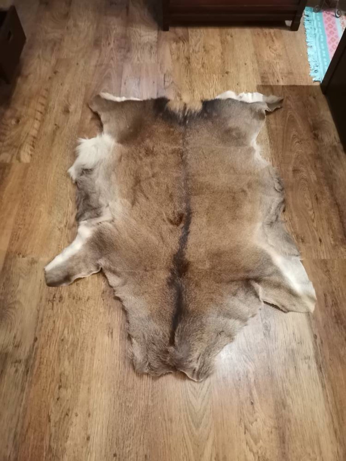 Large Giant Red Deer Skin Hide Cervus Elaphus Stag Fur Pelt Etsy