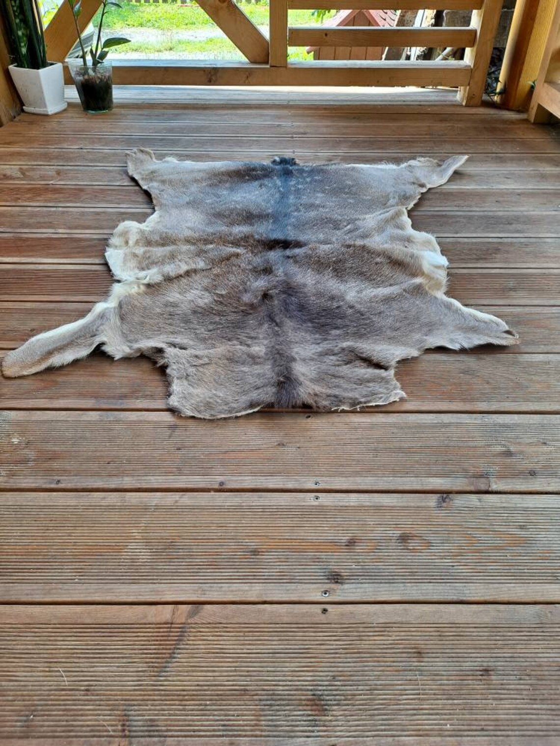 Large Fallow Deer Skin Hide Rug Fur dama Dama Living Room Etsy